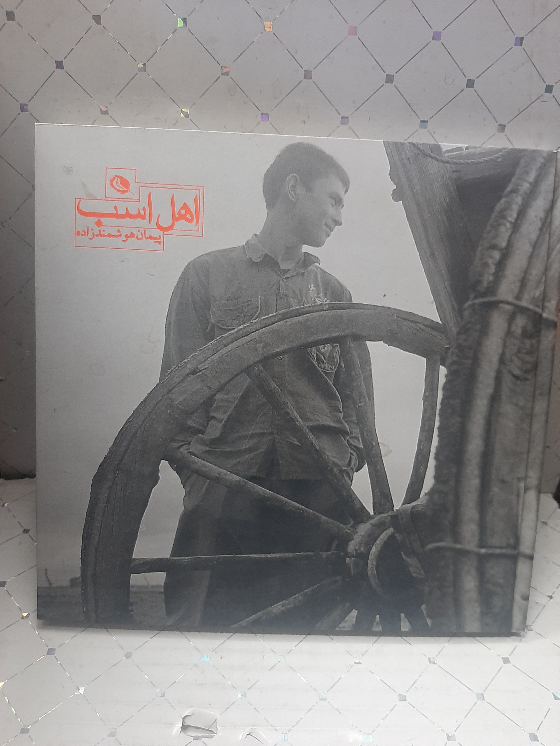 اهل اسب پیمان هوشمند زاده