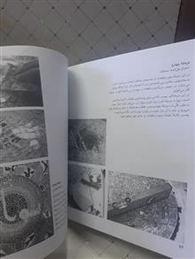 هنر