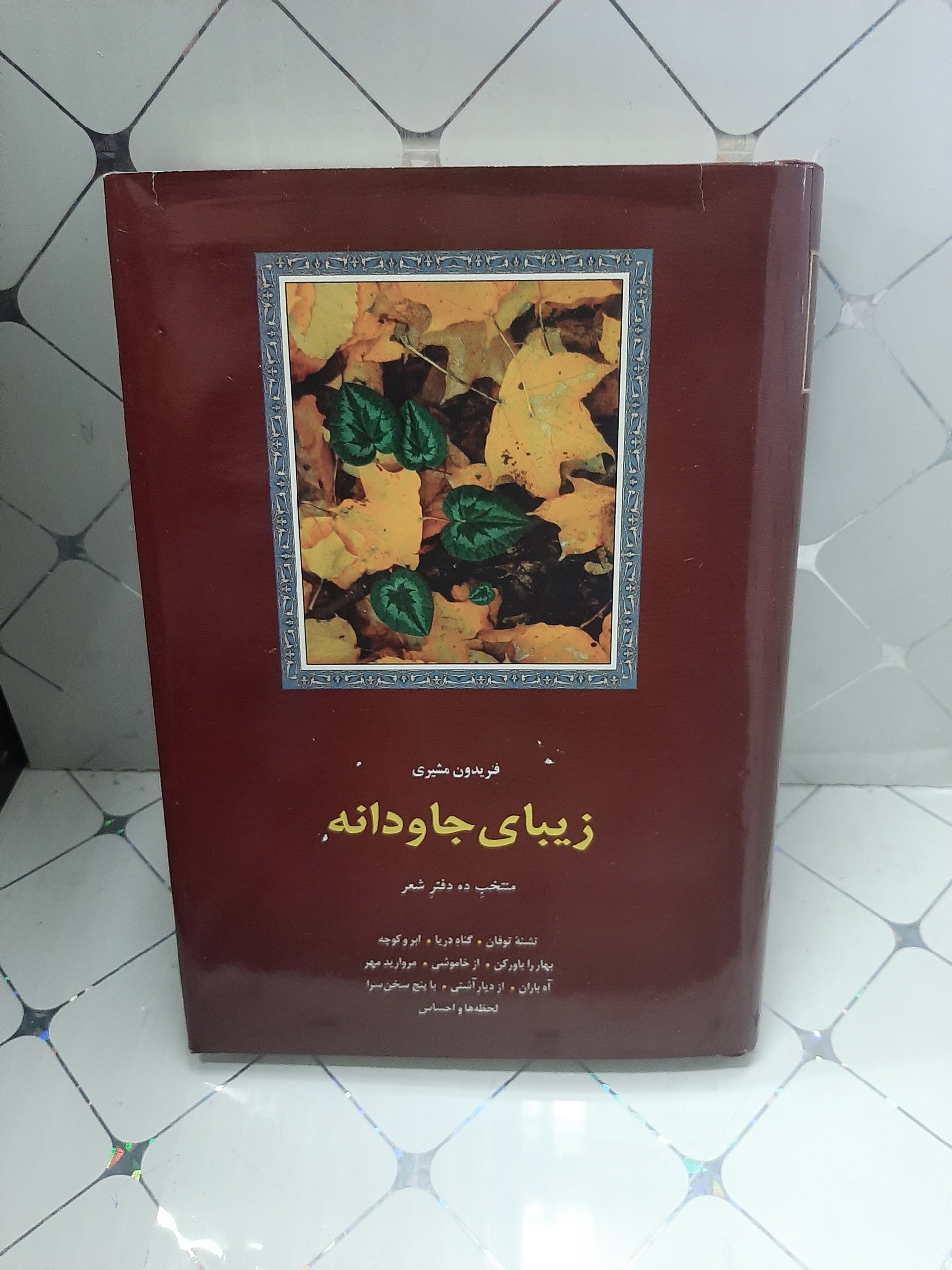 زیبای جاودانه منتخب ده دفتر شعر فریدون مشیری