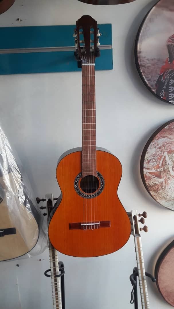 گیتار پرومکس