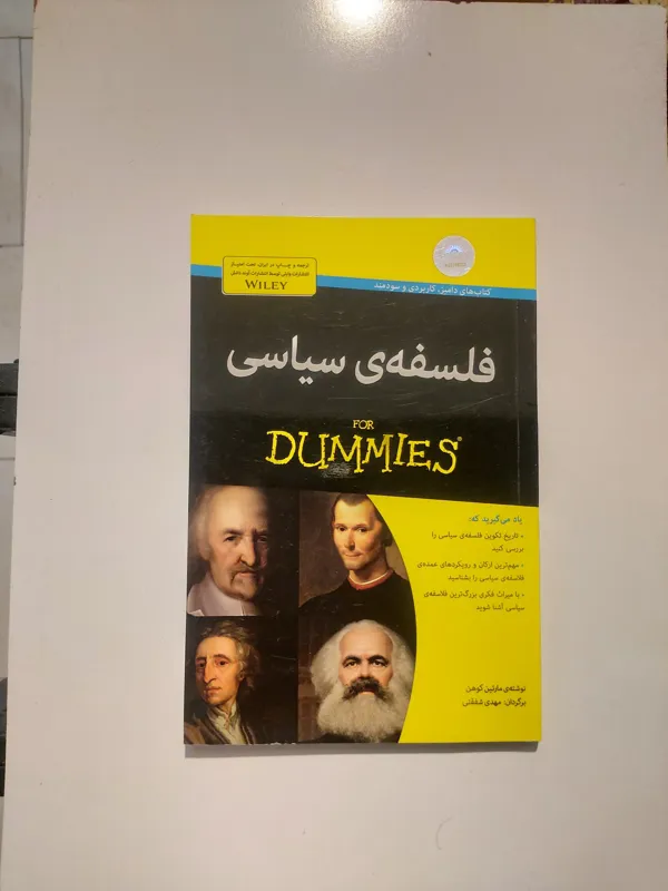 فلسفه سیاسی، For dummies