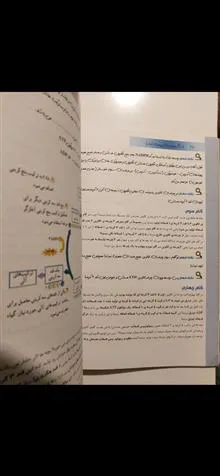 فاگو