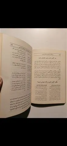 مردان