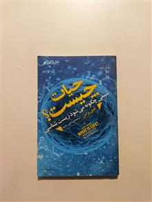 حیاط