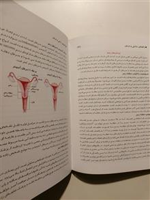 راهنمای
