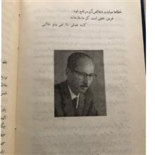 دورنمای