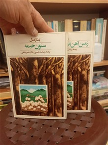 رمان