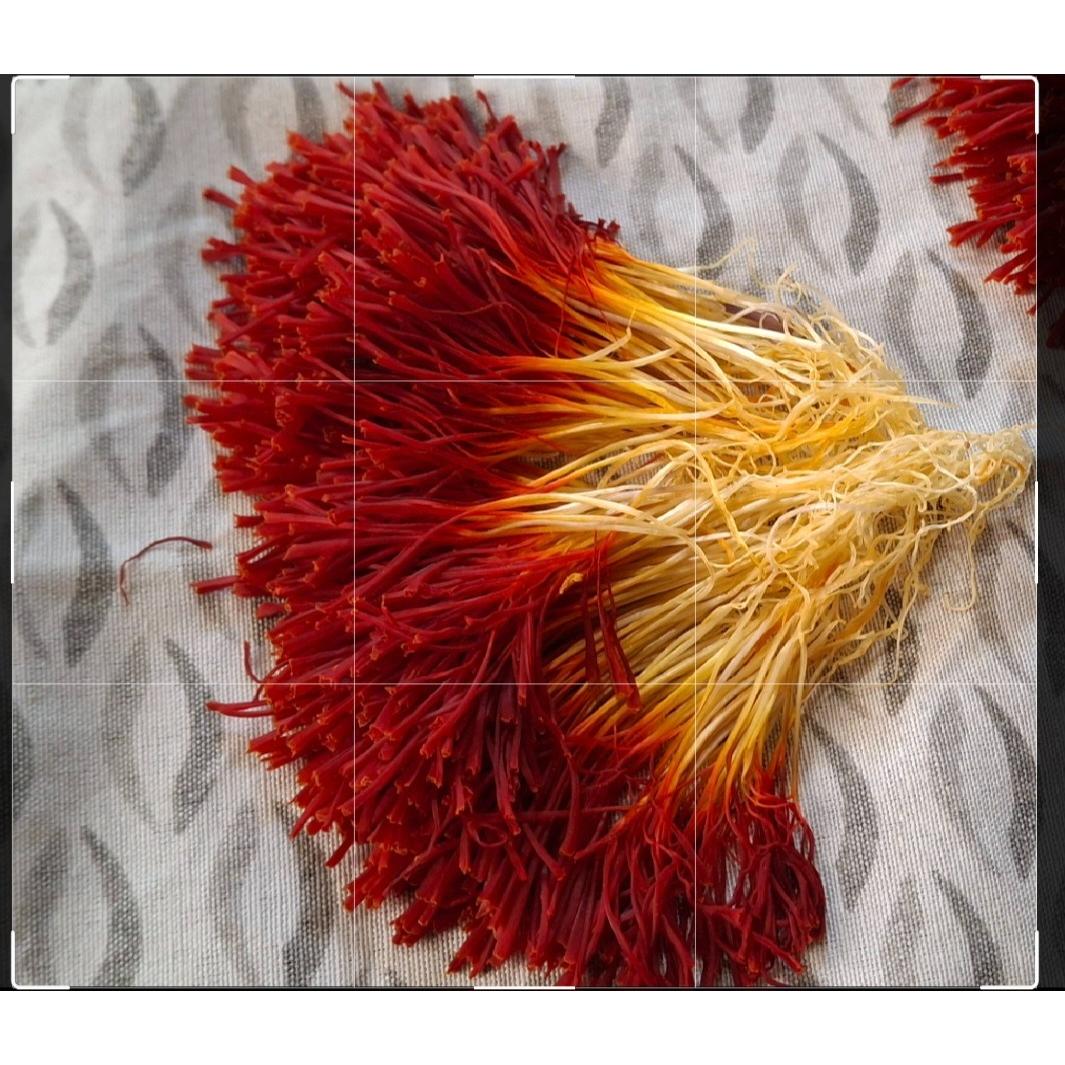 زعفران دسته قائنات نیم مثقالی