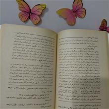 جامعه