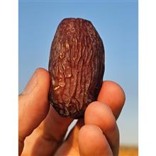 خرما