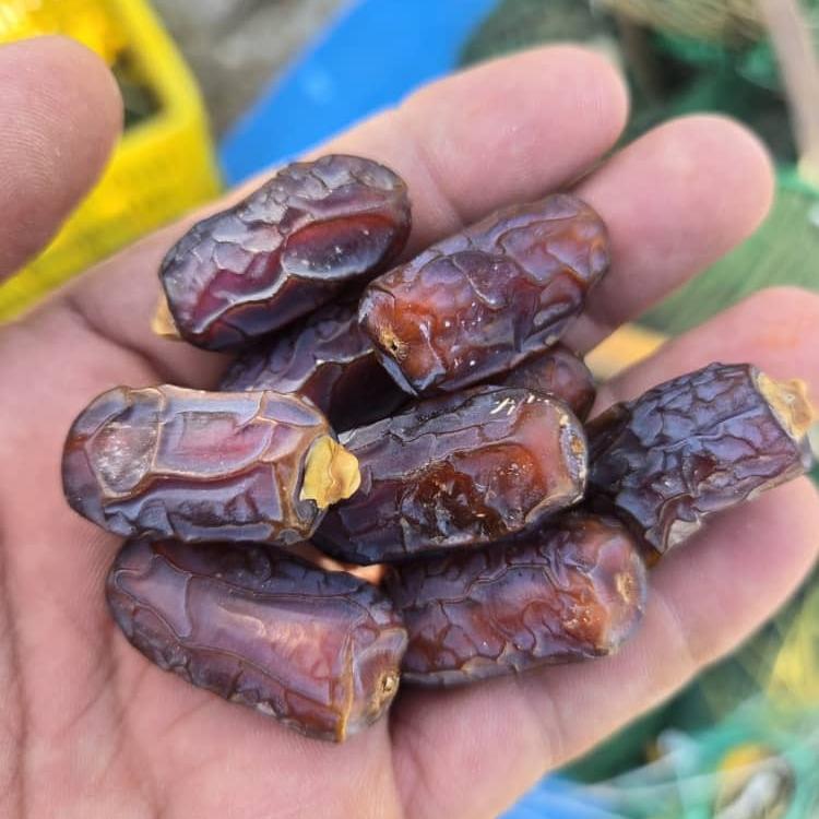 خرما پیارم سایز ریز قندونی