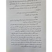 زنبق