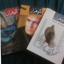فصل