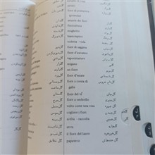 فرهنگ