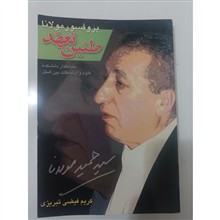 طنین
