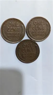 سکه