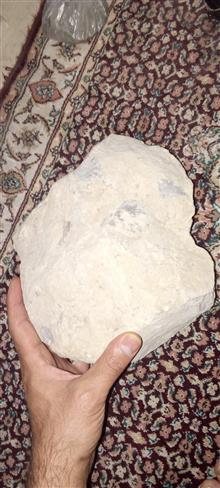 فسیل