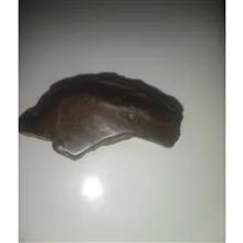 شهاب