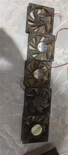 فن