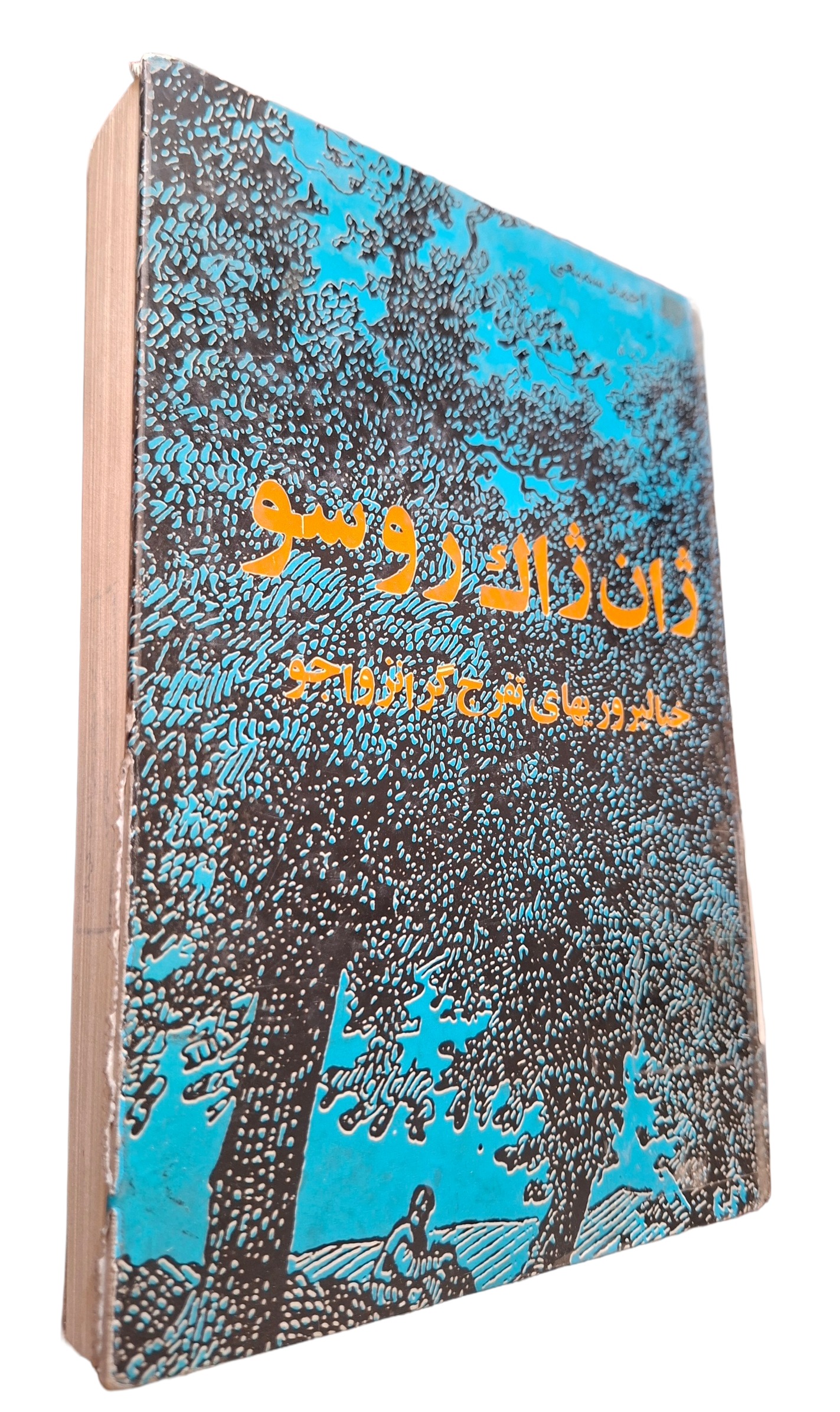 «خیالبافیهای تفرجگر انزواجو» ژان ژاک روسو - 1345