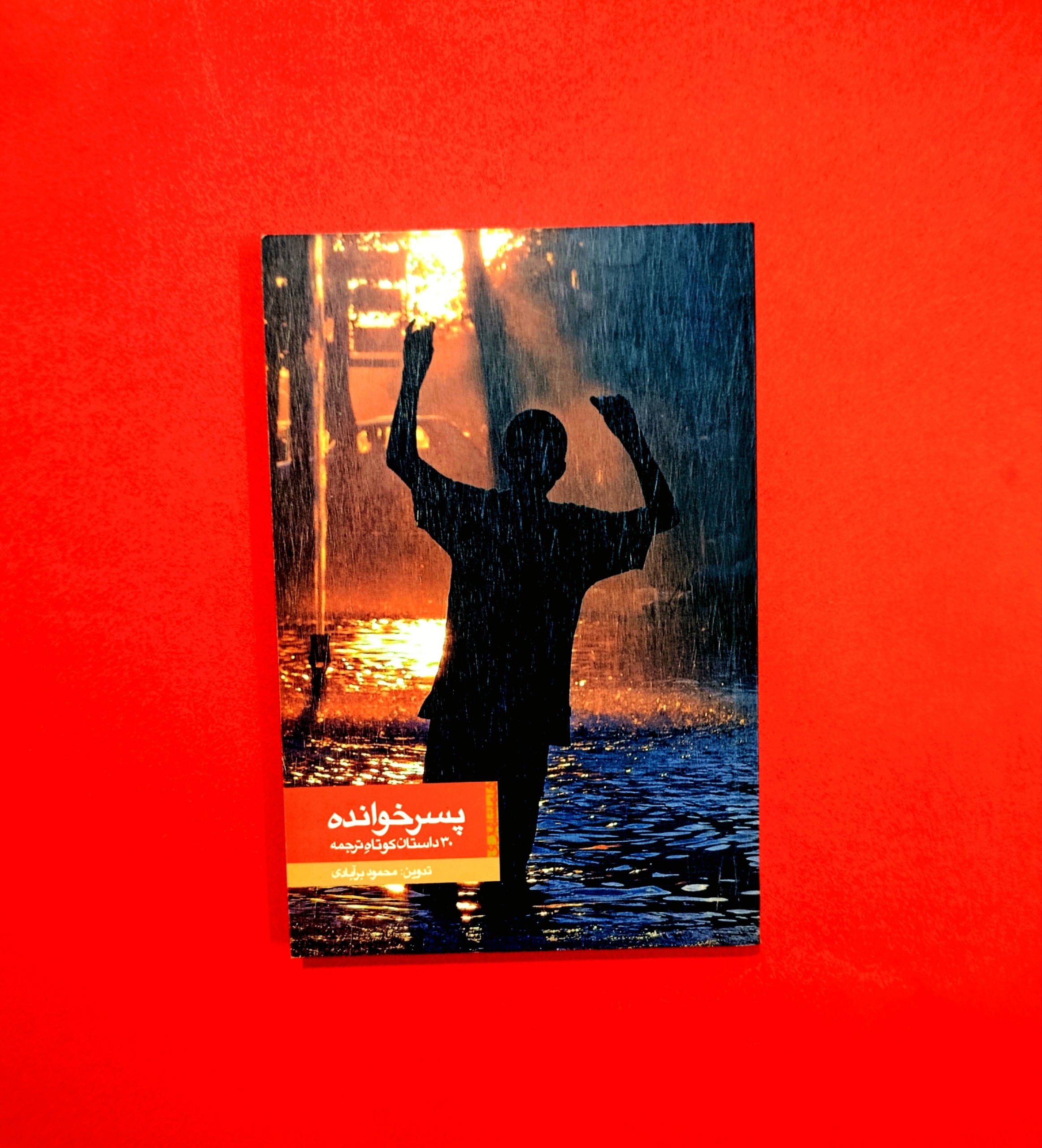 پسرخوانده، 30 داستان کوتاه ترجمه
