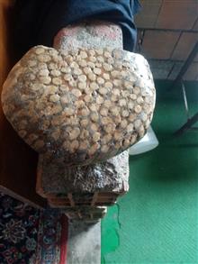 سنگ