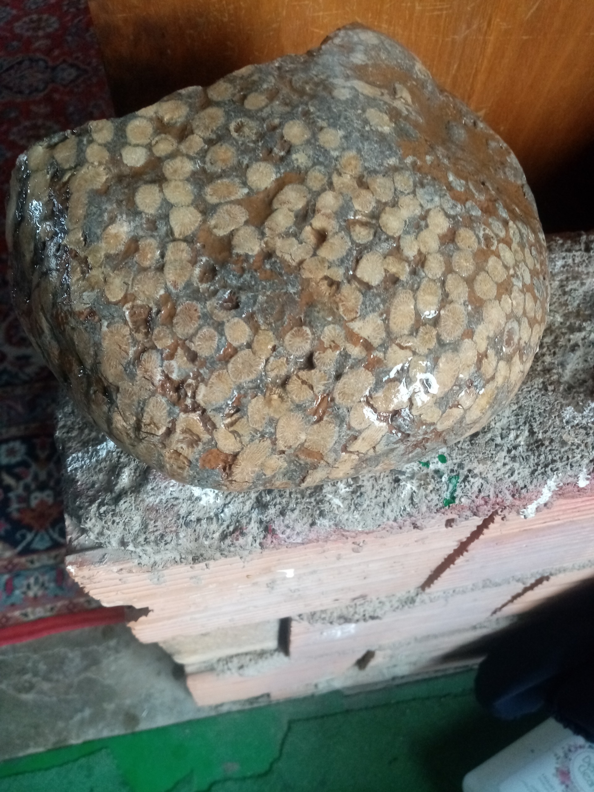 سنگ زیبای کلکسیونی