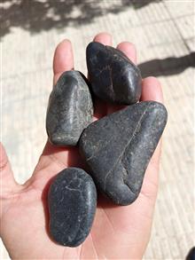 تعداد