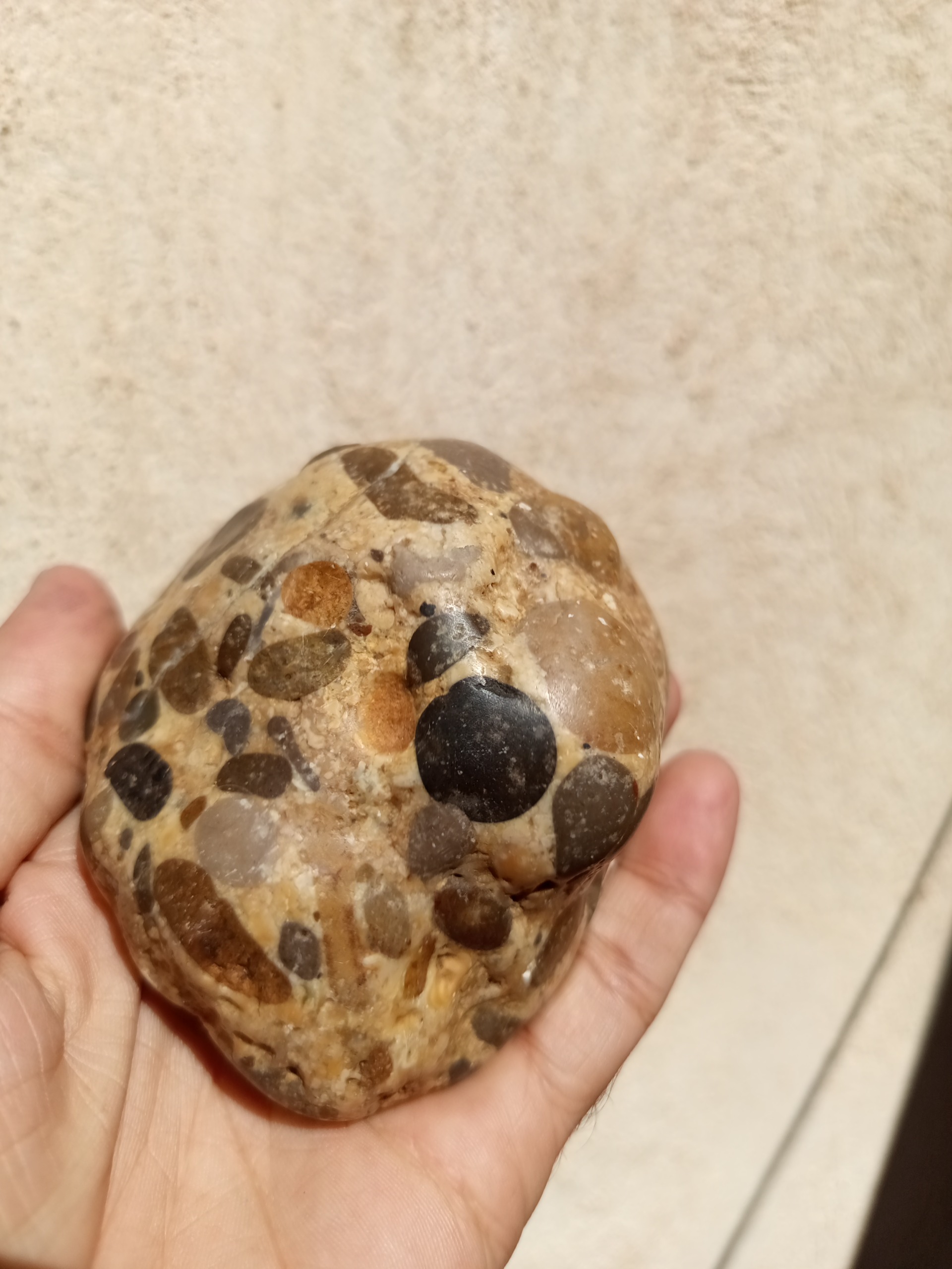 یک قطعه سنگ مشکوک به شهابسنگ یا سنگ رسوبی