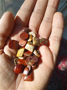 تعداد
