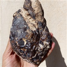 یک