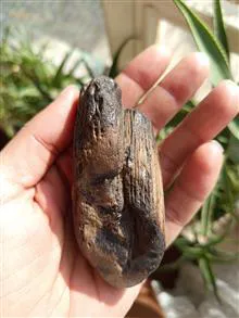یک
