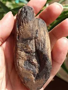 یک