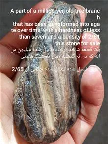 یک