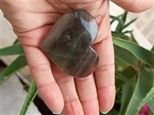 یک