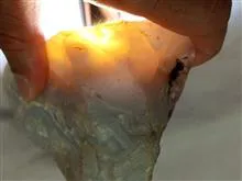 یک