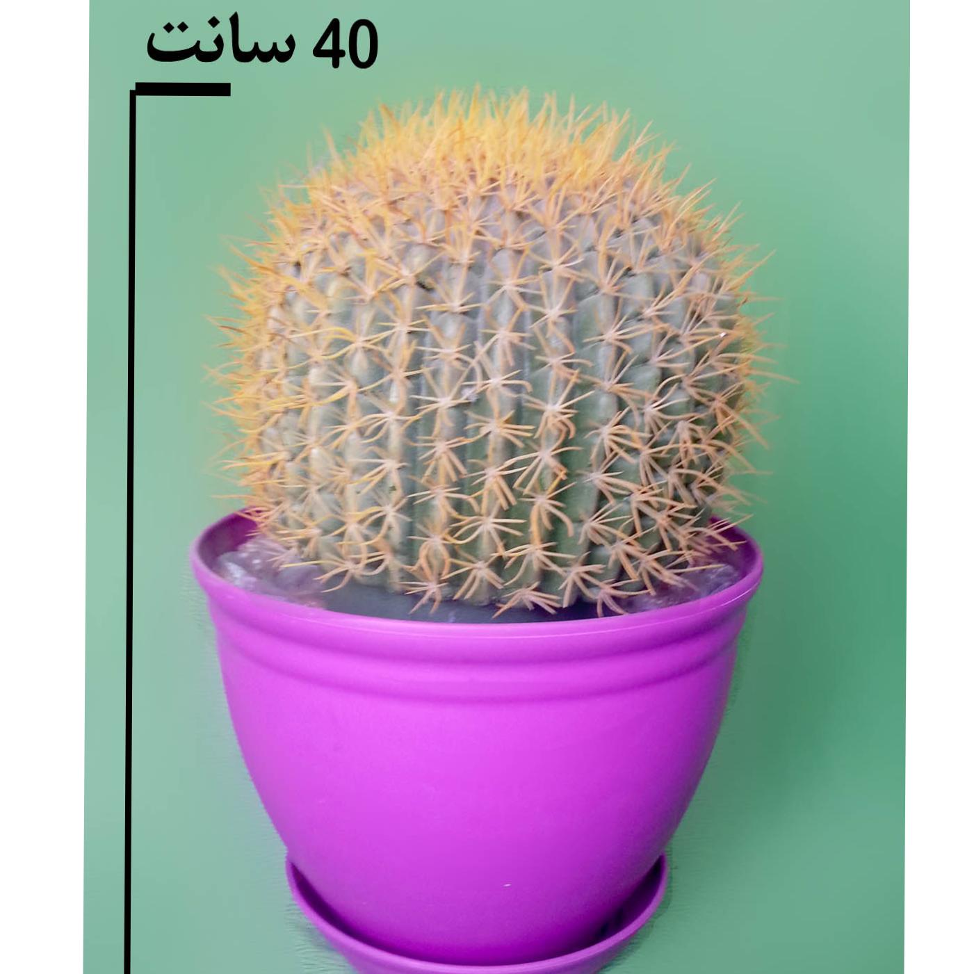 گل مصنوعی تیغ کاکتوس