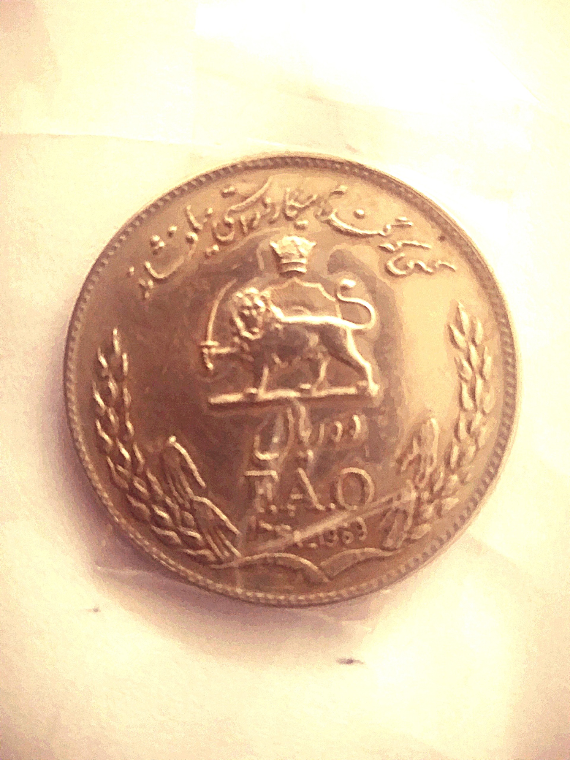 سکه 10 ریالی فائو
