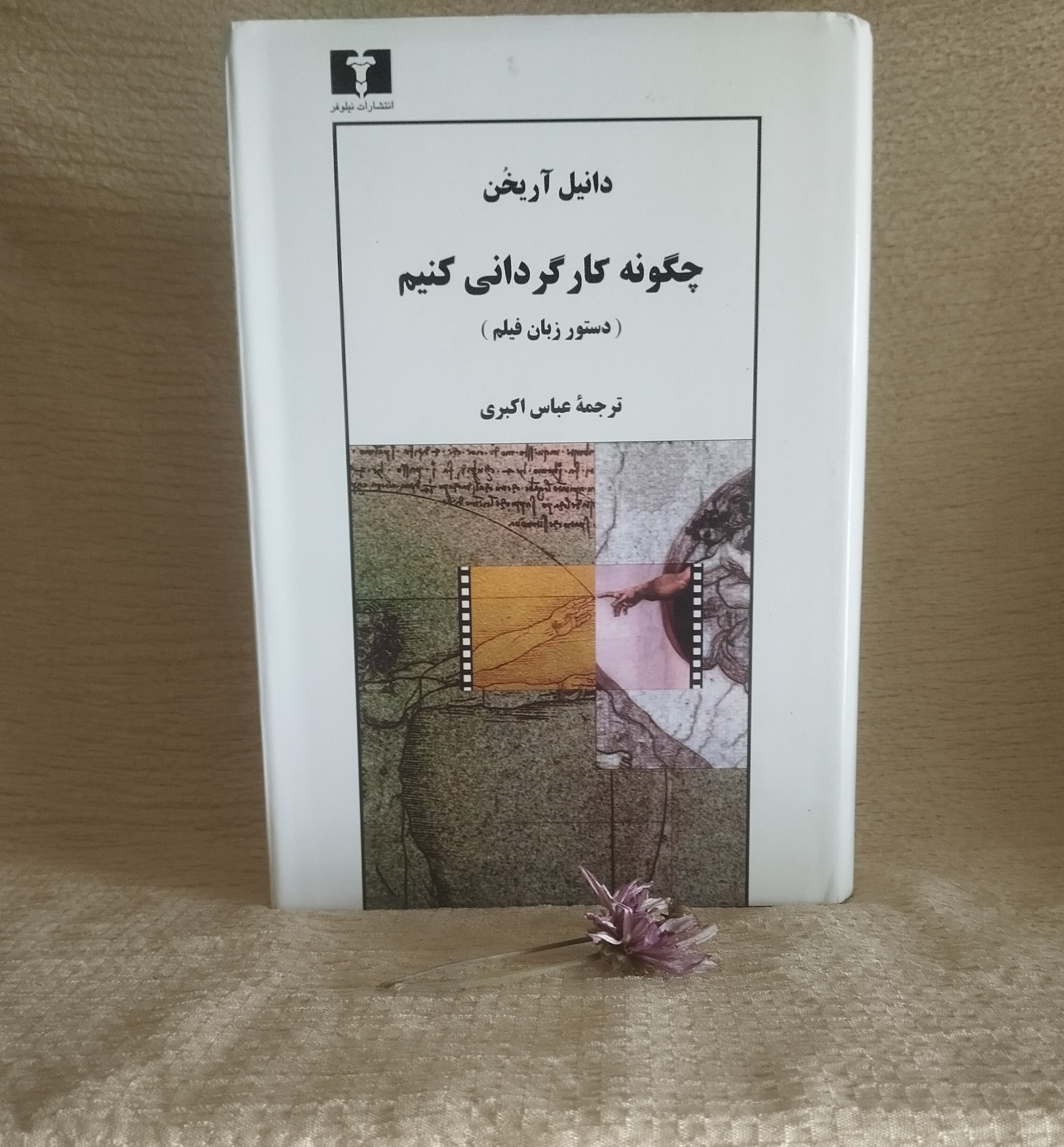 چگونه کارگردانی کنیم، دانیل آریخن