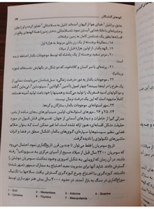 الهه