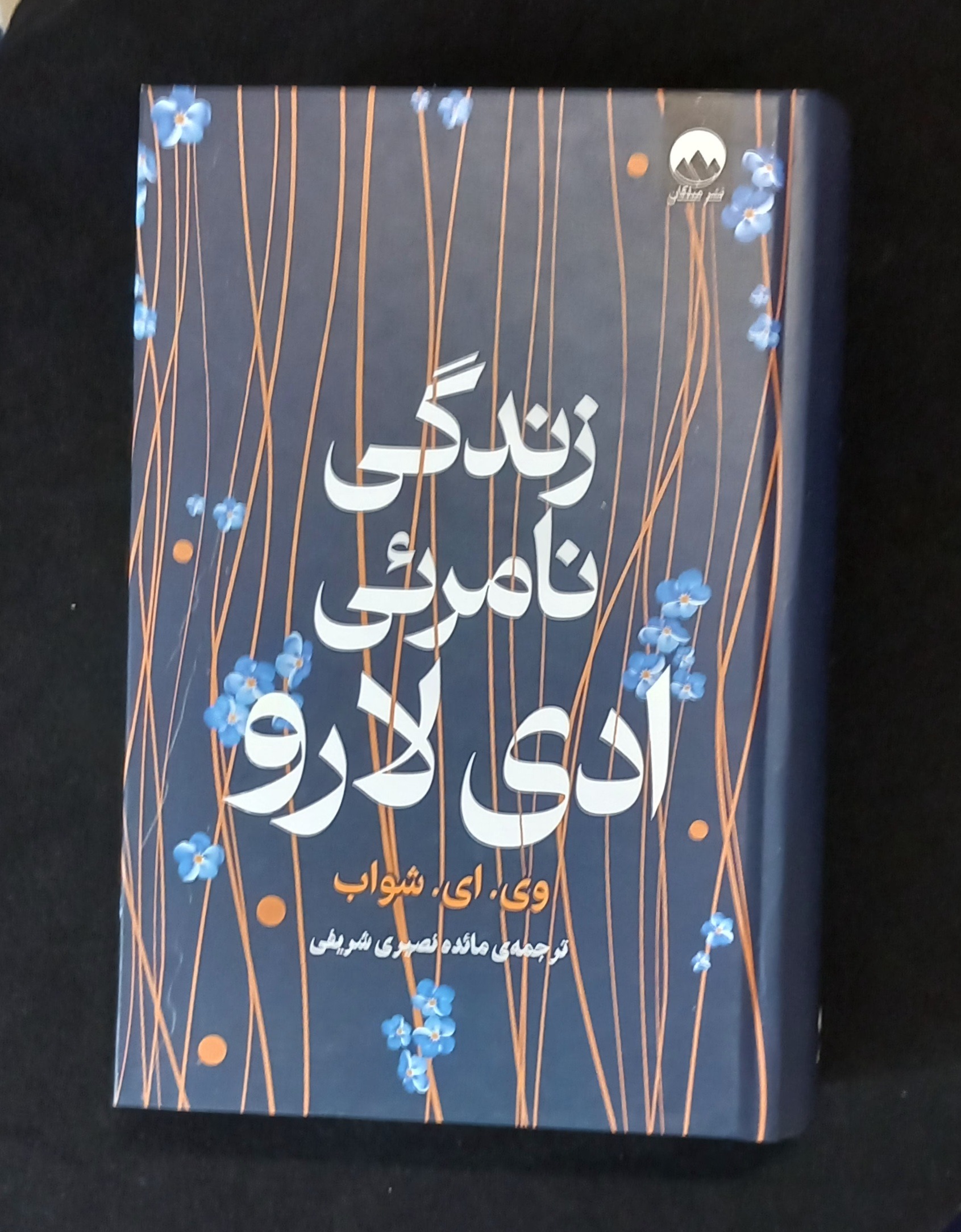 کتاب زندگی نامرئی ادی لارو