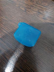 گوش
