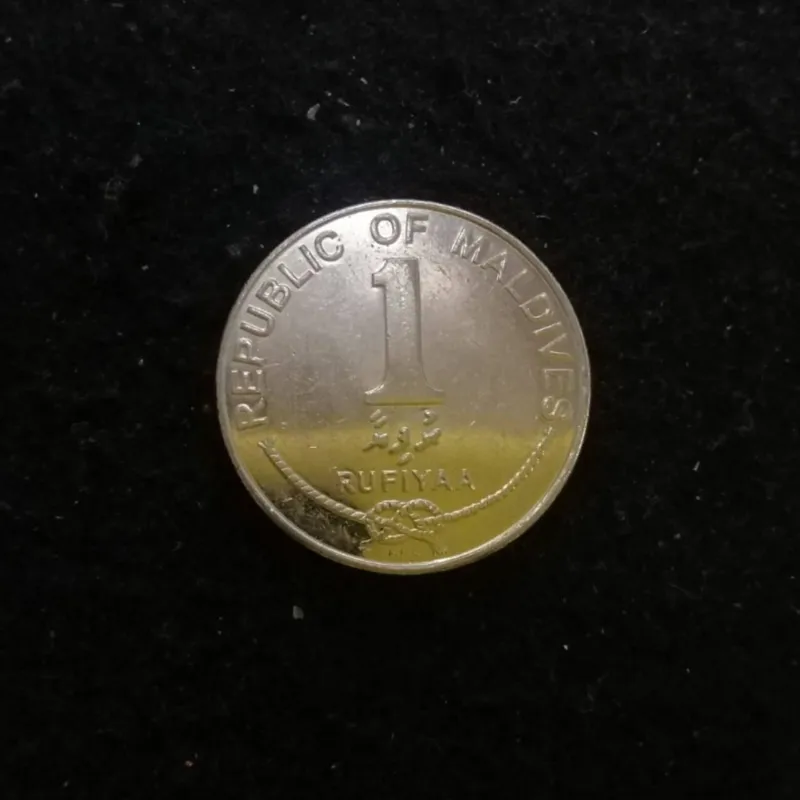  1 روفیا مالدیو 2012 کد 5261