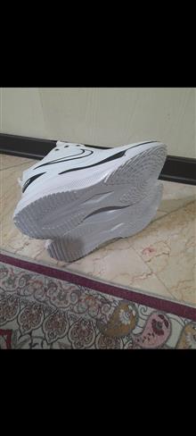 کفش