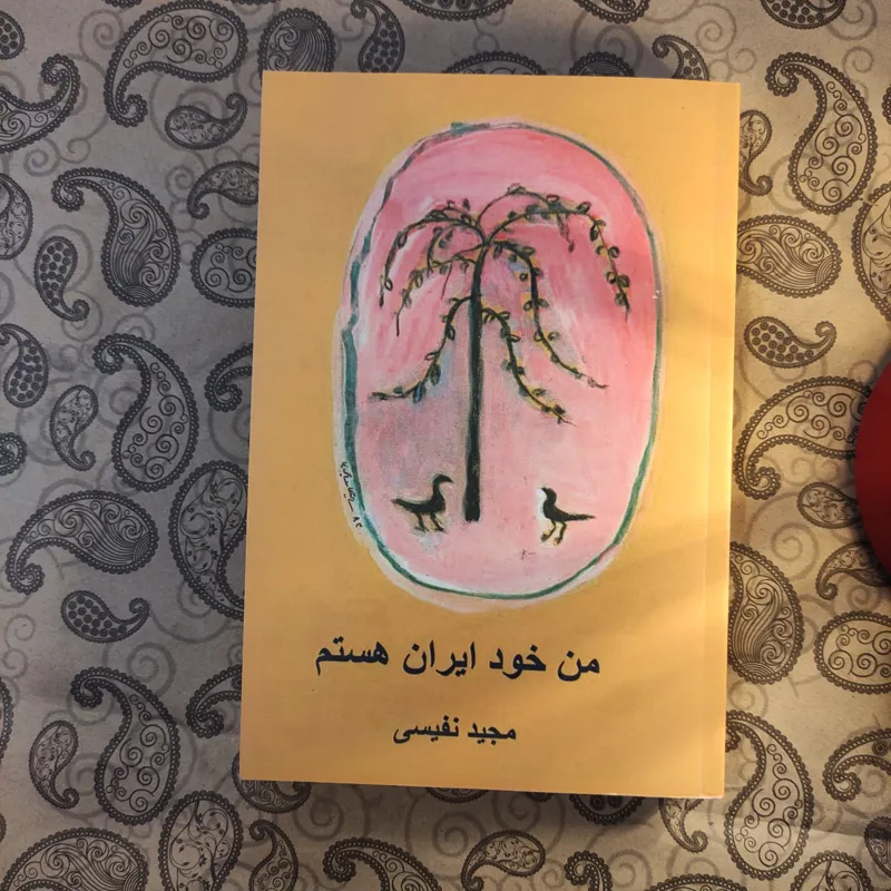من خود ایران هستم / مجید نفیسی