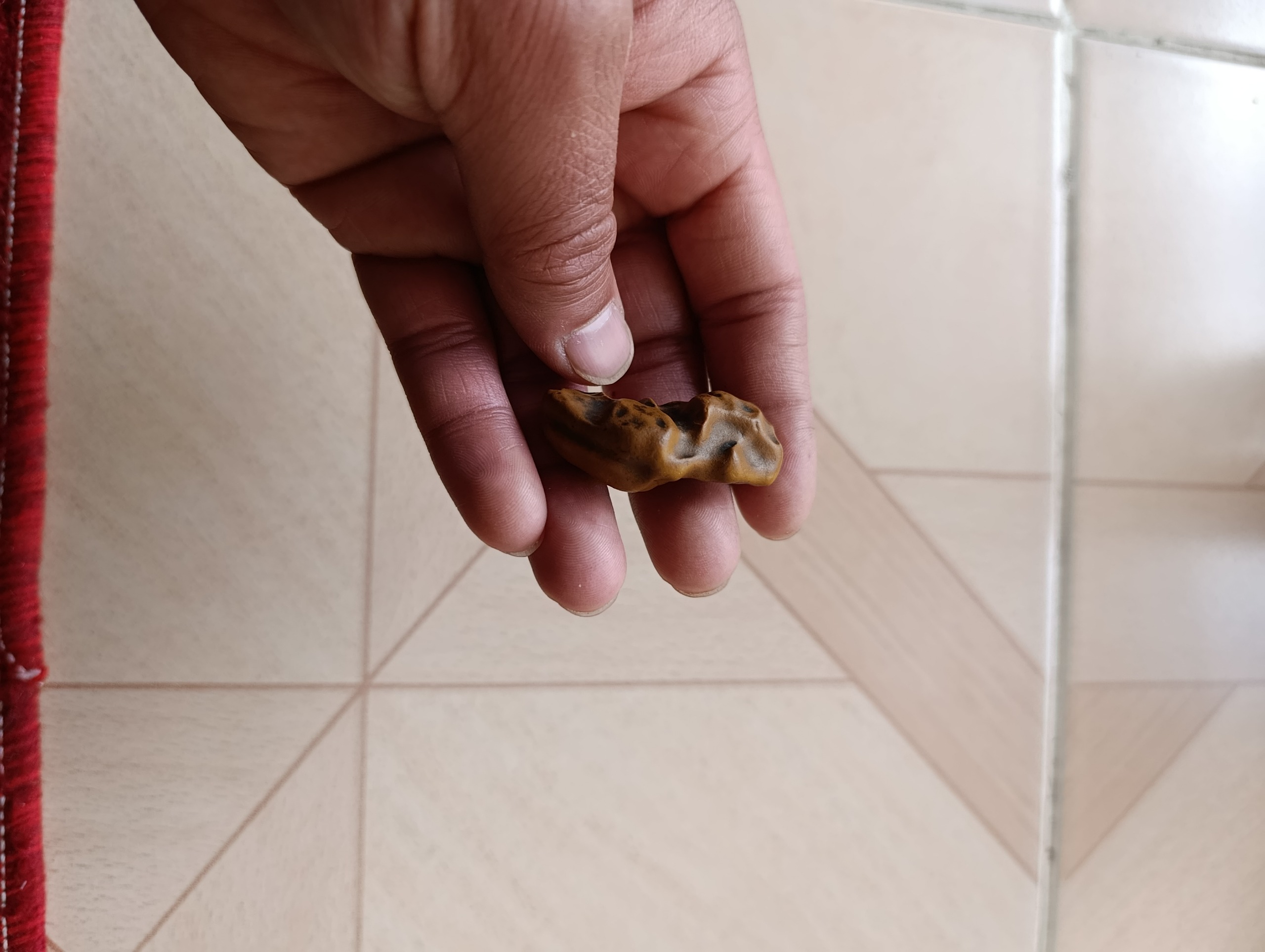 مهره سلطانی مصور