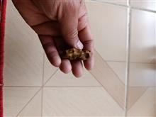 مهره