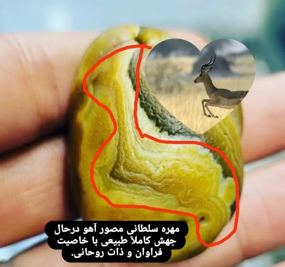 مهره سلطانی مصور آهو