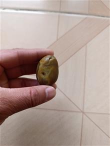 مهره