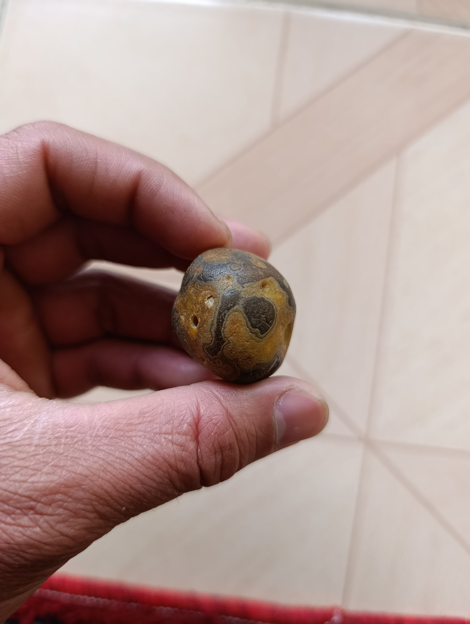 مهره سلطانی مصور